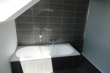 Bigger view of Badkamer Hamme 1