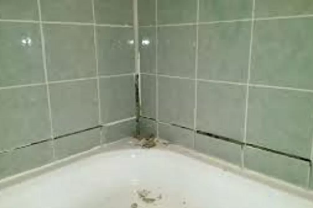 Vocht in douche.